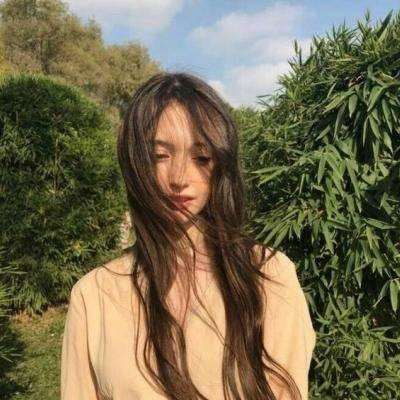 钢铁之躯2汉化破解版下载