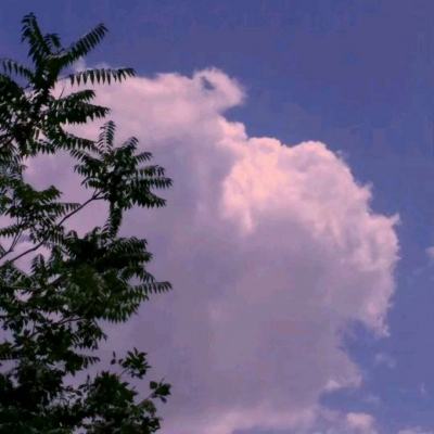 小冰冰传奇当乐客户端下载
